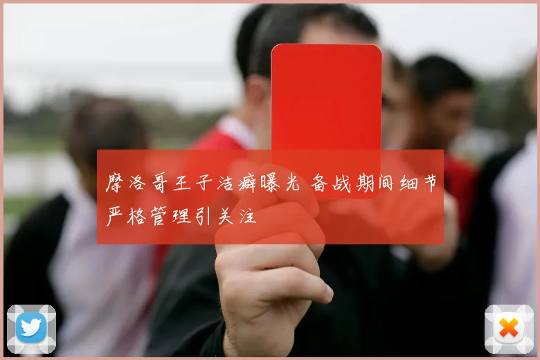 摩洛哥王子洁癖曝光 备战期间细节严格管理引关注